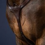 Collier de chasse pour cheval dy'on new english collection