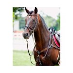Collier de chasse pour cheval elastique avec martingale tattini