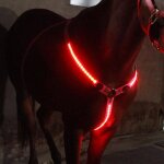 Collier de poitrine de cheval a led, dcor lumineux, sangle de poitrine rglable, bandeau de bride de ...