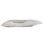 Combinaison jetable kerbl 3xl mixte blanc