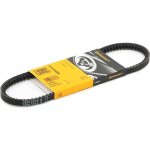Contitech courroie trap�zo�dale vw, renault, fiat avx10x650 117022383400, 60523210, 456918 95496894, ...