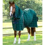 Couverture d'�curie pour cheval avec couvre - cou premier equine lucanta 200 g