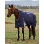 Couverture d'ext�rieur pour cheval col haut weatherbeeta comfitec plus dynamic 220g