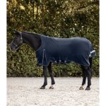 Couverture d'ext�rieur pour cheval col haute waldhausen scandic 100g