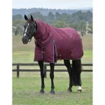 Couverture d'ext�rieur pour cheval d�tachable au cou weatherbeeta comfitec essential 220g