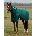 Couverture d'ext�rieur pour cheval d�tachable au coup weatherbeeta comfitec plus dynamic 220g