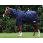 Couverture d'ext�rieur pour cheval saxon defiant combo 200g