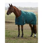 Couverture d'ext�rieur pour cheval weatherbeeta comfitec classic 220g