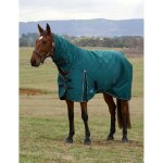 Couverture d'ext�rieur pour cheval weatherbeeta comfitec classic combo 220g