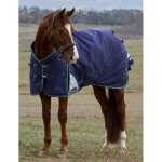 Couverture d'ext�rieur pour cheval weatherbeeta comfitec plus dynamic 0g