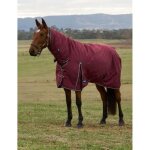 Couverture d'ext�rieur pour cheval weatherbeeta comfitec prelim combo 220g
