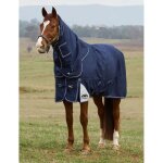 Couverture d'ext�rieur pour cheval weatherbeeta comfitec ultra 100g