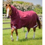 Couverture d'ext�rieur imperm�able pour cheval avec couvre - cou premier equine buster storm classic ...