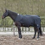 Couverture marcheur pour cheval imperm�able harry's horse