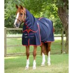 Couverture s�chante pour cheval avec couvre - cou premier equine