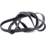 Dayco courroie poly - v bmw 5pk2060 11282247493, 11287785774, 11287787369 11288477782