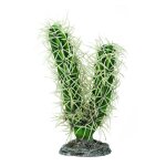 D�coration de terrarium cactus hobby simpson