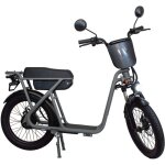 Draisienne electrique wispeed wimob 2 gris - homologu�