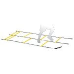 Echelle de rythme double