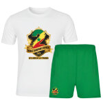 Ensemble foot inspir� s�n�gal homme - edition champion - maillot + short (taille l, couleur vert)