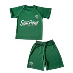 Ensemble football enfant - inspir de saint - etienne - maillot et short vert (taille 10 ans, couleur ...