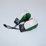 Ensemble de gants de boxe pour bb garon, accessoires de prise de vue, accessoires kiev illage, nouveau ...