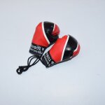 Ensemble de gants de boxe pour bb garon, accessoires de prise de vue, accessoires kiev illage, nouveau ...