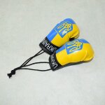 Ensemble de gants de boxe pour bb garon, accessoires de prise de vue, accessoires kiev illage, nouveau ...