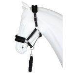 Ensemble licol pour cheval horka angel