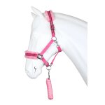 Ensemble licol pour cheval horka angel
