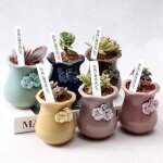 Etiquettes de pot, piquets etanches 12. 5cm x 1. 5cm 50 pices marqueurs en plastique pour ppinire
