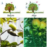 Filet anti oiseau 5x10m, filet de pêche pour etang, pièges pour cultures d'arbres fruitiers, légumes, ... Filet anti oiseau 5x10m, filet de pêche pour etang, pièges pour cultures d'arbres fruitiers, légumes, ...