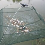 Filet pliable pratique en maille de poisson, appt, pige, crabe en fonte, cage a crevettes, gadgets ...