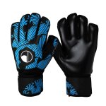 Gants de sport antidrapants en latex, rsistants a l'usure, gardien de but, football, protection complte ...