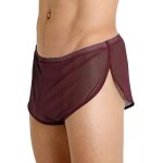 Gjhgf - hommes shorts en maille avec de grands cts fendus sous - vtements boxers slips rsille maillot ...