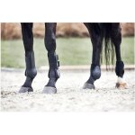 Gutres pour poney, taille shetland horse guard
