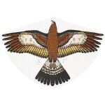 Gunther - 1180 - jeu de plein air - cerf - volant monofil - goldadler en feuilles de pe