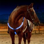 Harnais de bar en nylon avec lumière clignotante led, equipement de cheval, plastron, pour sports de ... Harnais de bar en nylon avec lumière clignotante led, equipement de cheval, plastron, pour sports de ...