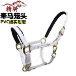 Harnais pour bride de cheval, ensemble complet d'accessoires, grand poney court malone, entraînement, ... Harnais pour bride de cheval, ensemble complet d'accessoires, grand poney court malone, entraînement, ...