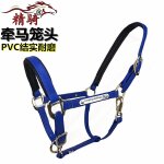 Harnais pour bride de cheval, ensemble complet d'accessoires, grand poney court malone, entraînement, ... Harnais pour bride de cheval, ensemble complet d'accessoires, grand poney court malone, entraînement, ...