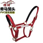 Harnais pour bride de cheval, ensemble complet d'accessoires, grand poney court malone, entraînement, ... Harnais pour bride de cheval, ensemble complet d'accessoires, grand poney court malone, entraînement, ...