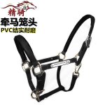 Harnais pour bride de cheval, ensemble complet d'accessoires, grand poney court malone, entraînement, ... Harnais pour bride de cheval, ensemble complet d'accessoires, grand poney court malone, entraînement, ...