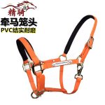 Harnais pour bride de cheval, ensemble complet d'accessoires, grand poney court malone, entraînement, ... Harnais pour bride de cheval, ensemble complet d'accessoires, grand poney court malone, entraînement, ...