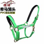 Harnais pour bride de cheval, ensemble complet d'accessoires, grand poney court malone, entraînement, ... Harnais pour bride de cheval, ensemble complet d'accessoires, grand poney court malone, entraînement, ...