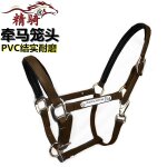 Harnais pour bride de cheval, ensemble complet d'accessoires, grand poney court malone, entraînement, ... Harnais pour bride de cheval, ensemble complet d'accessoires, grand poney court malone, entraînement, ...