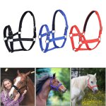 Harnais de cheval en rnes, couvre - chef, licou epais, durable, amovible