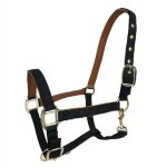 Harnais de tête cheval petit, plus d'accent a eté placé, damas avec des vêtements fins, bibcock, couvre ... Harnais de tête cheval petit, plus d'accent a eté placé, damas avec des vêtements fins, bibcock, couvre ...