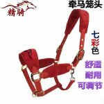 Harnais de tête cheval petit, plus d'accent a eté placé, damas avec des vêtements fins, bibcock, couvre ... Harnais de tête cheval petit, plus d'accent a eté placé, damas avec des vêtements fins, bibcock, couvre ...