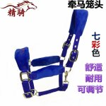 Harnais de tête cheval petit, plus d'accent a eté placé, damas avec des vêtements fins, bibcock, couvre ... Harnais de tête cheval petit, plus d'accent a eté placé, damas avec des vêtements fins, bibcock, couvre ...