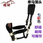 Harnais de tête cheval petit, plus d'accent a eté placé, damas avec des vêtements fins, bibcock, couvre ... Harnais de tête cheval petit, plus d'accent a eté placé, damas avec des vêtements fins, bibcock, couvre ...
